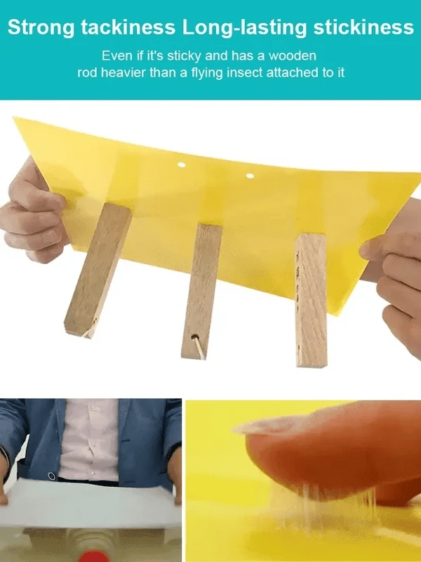 Double-sided Insect Trap and Insecticide Board
