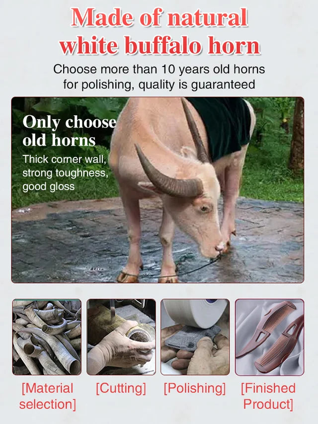 Ten days without washing hair] Oil removal massage cow horn comb